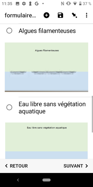type_vegetation_aquatique_3